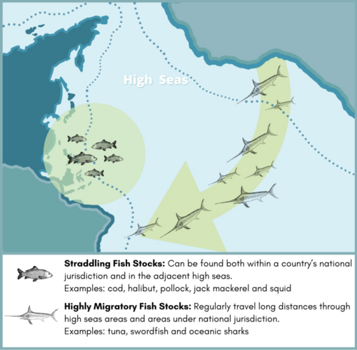 United Nations Fish Stocks Agreement